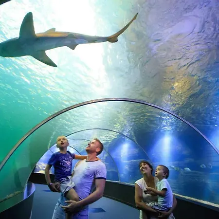 Apartmán Vue Degagee #1